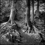 Path Between