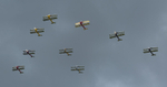 Tiger Moth : Tiger Nine Display : Arrow Formation
