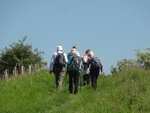 005 After Pocklington Wood heading for Grimthorpe Wood