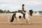 SBM_15668