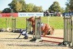 SBM_15274