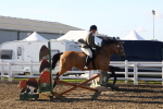 SBM_07911