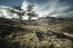Langdale rush hour