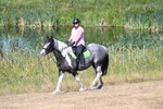 WJ7_8014