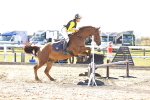 SBM_001121