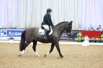 SBM_000338