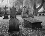 1522 - Shakespeares Churchyard - RIP 1