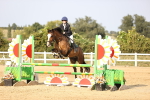 SBM_03909