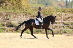 SBM_010553