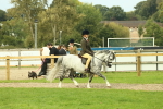 SBM_69846