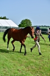 SBM_01039