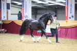 SBM_20982