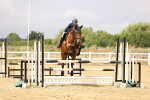 SBM_026224