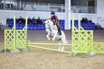 SBM_000501