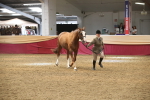 SBM_05662