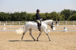 SBM_003444