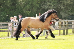 SBM_02490