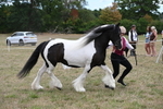 WJ6_5390