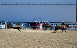 3HRodeo8-11-25_PRCASteer_03015_