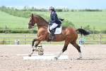 BPP_0753