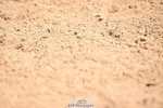 240324A-120347-02520