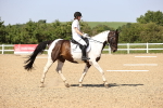 SBM_010117