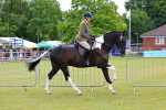 SBM_02567