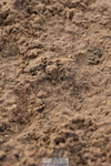 231028A-102702-00424