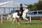 Best Rider Championship portfolio