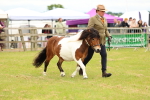SBM_04378