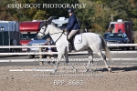 BPP_8683