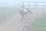 Arena Eventing Saturday 21st October = Click to View Photos portfolio