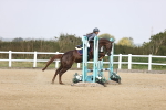 SBM_001831