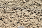 230527A-091957-02951