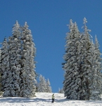 Vail