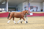 SBM_16698