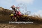 Moto-X_29-10-11-14