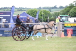 SBM_05820