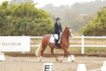 SBM_001149