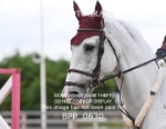 BPP_0630