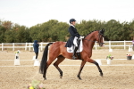 SBM_007271