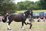 WJ6_6237