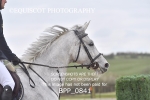 BPP_0841