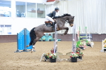 SBM_003704