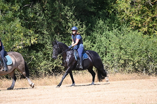 WJ6_8684
