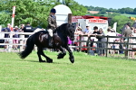 SBM_07997