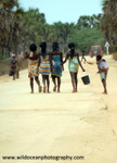 ANG014: On the road