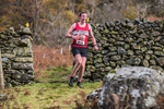 Stybarrow Dodd-883