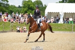 301-JET_FIGHTER-Harry_Meade-SUNTrotUp+SJ portfolio