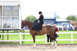 SBM_03342